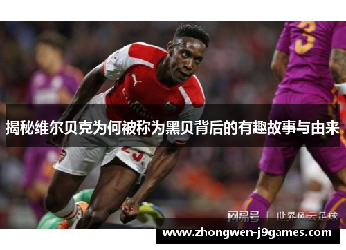 揭秘维尔贝克为何被称为黑贝背后的有趣故事与由来